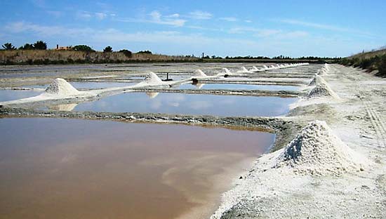 Rows of shallow pools of water