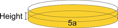 A petri dish is filled half way with a gelatin dessert and the height of the liquid in the dish is measured