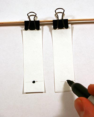 A marker places a black dot on the origin line of two paper chromatography strips