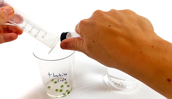 Hands hold a syringe and pits lunger above a clear cup. Inside the cup is a solution with leaf disks.