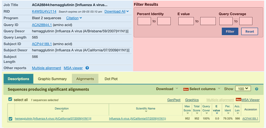 Screenshot of the results page in the BLAST tool on the ncbi.nlm.nih.gov website shows the search results for a two sequence alignment. 