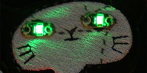 Wearable Electronics: Sewing an LED Patch