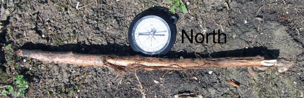 A wooden stick lies parallel to the arrow of a compass pointing north