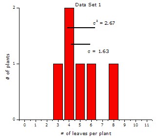 Example frequency histogram of plants with a certain number of leaves and low dispersion