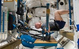 Counteracting Bone and Muscle Loss in Microgravity