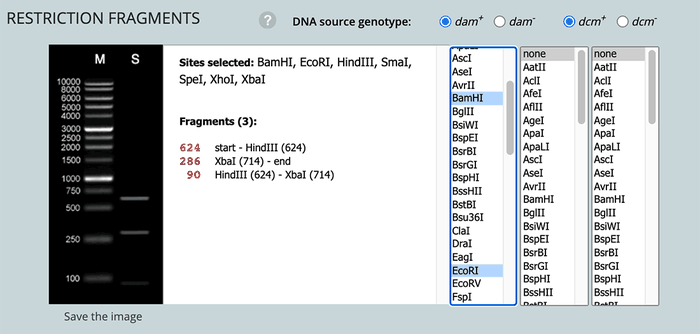 Screenshot of the 'Restriction Enzyme Selection' 