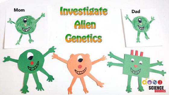 Inherited Traits and Learned Behaviors - Monster Lab Project