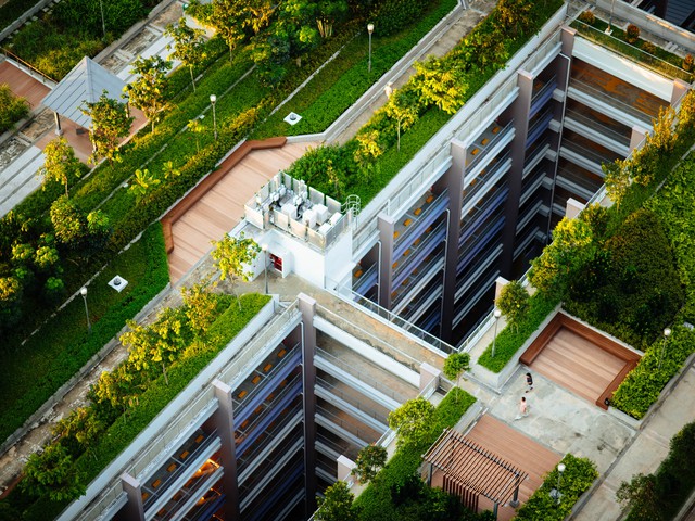 Rooftop garden