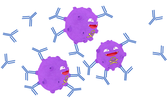 A drawn diagram of antibodies