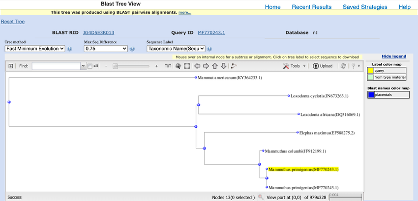 Screenshot of a distance tree of results that show a relationship between different BLAST search results