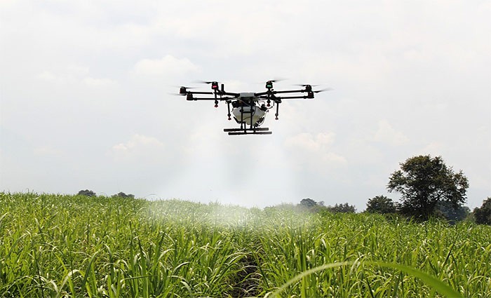  Drone spraying chemicals on crops in an agricultural field 