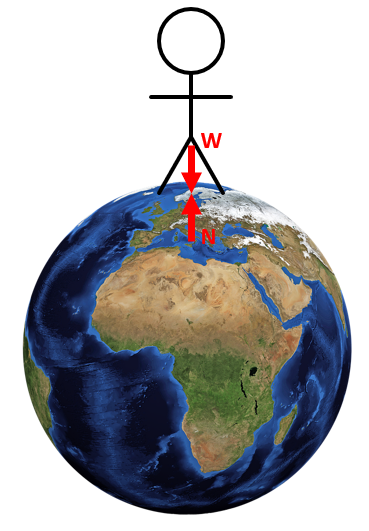 A person standing on Earth with their weight pointing down and normal force on their feet pointing up.