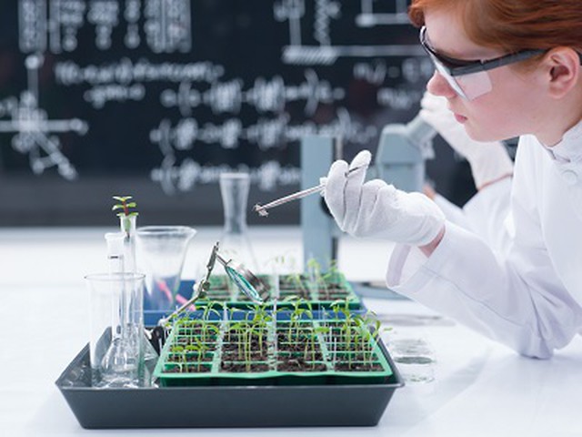 soil evaluation in a lab