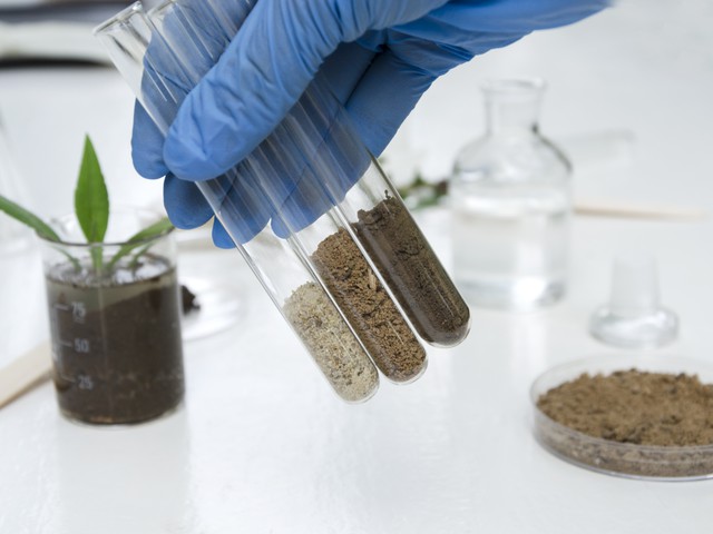 soil samples in test tubes in lab