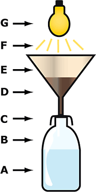 Diagram of a Berlese funnel where a lightbulb heats a soil filled funnel that rests above a bottle of alcohol
