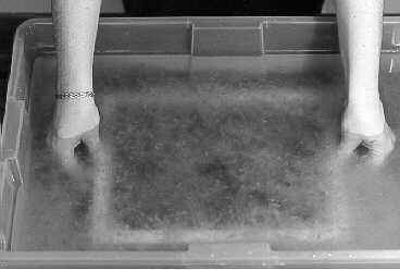 Black and white photo of a person submerging a framed box in a solution