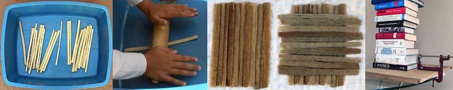Five side-by-side photos of the steps to turn Cyperus papyrus stalks into papyrus sheets