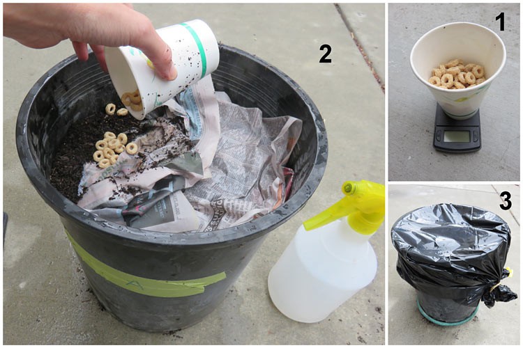 Three photos show cereal being weighed and added under the newspaper in a composting pot before the pot is sealed again