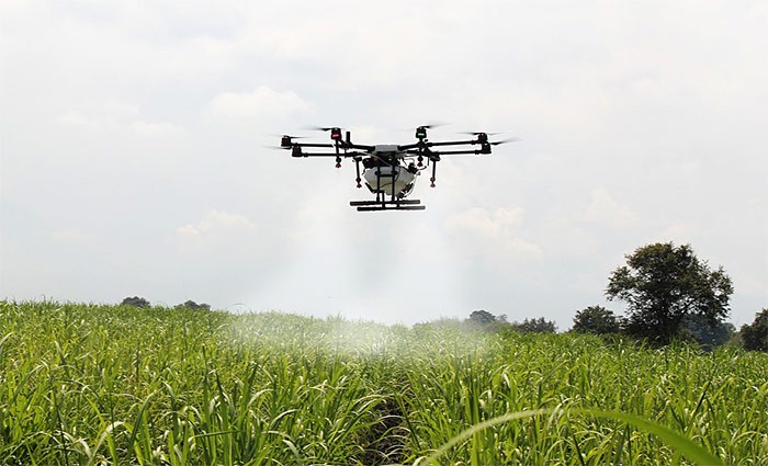 Drone spraying chemicals on crops in an agricultural field