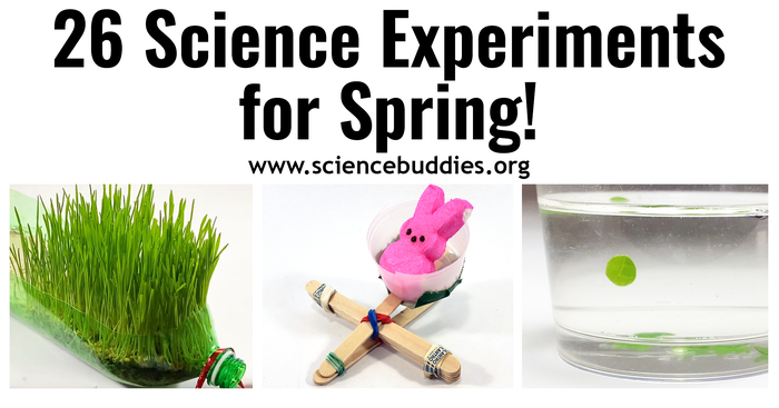 Images of model rain garden, Peep in a catapult, and photosynthesis assay to represent Spring Science experiments from Science Buddies