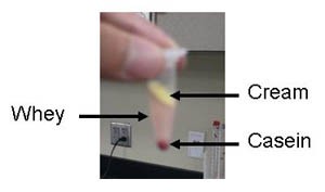 A small capsule contains milk separated into cream, whey proteins and casein