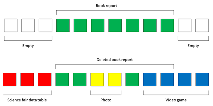 Get Computer Savvy about File Deletion