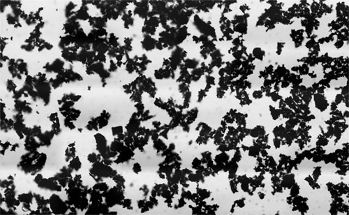 Microscopic image of activated carbon looks like black crumbs