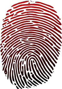 Fingerprint; Adapted from Wikipedia / Wilfredor