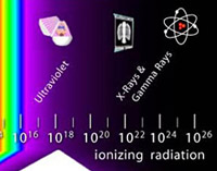 2012-blog-xray-200.jpg