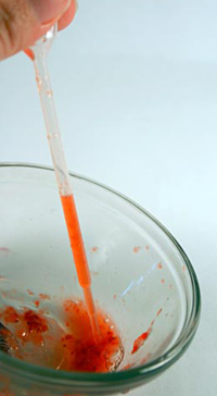DNA activity / Genes in a Bottle biotechnology exploration for students