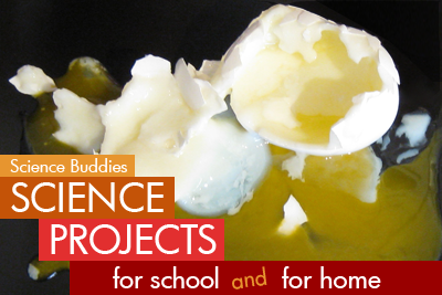 Soft boil Eggs / science Activity Family Science Spotlight