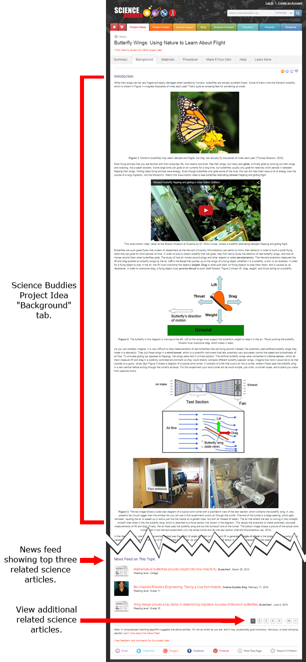 News feed on project