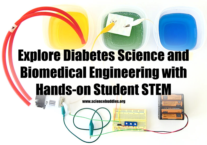 cornell biomedical engineering projects biomedical engineering projects pdf