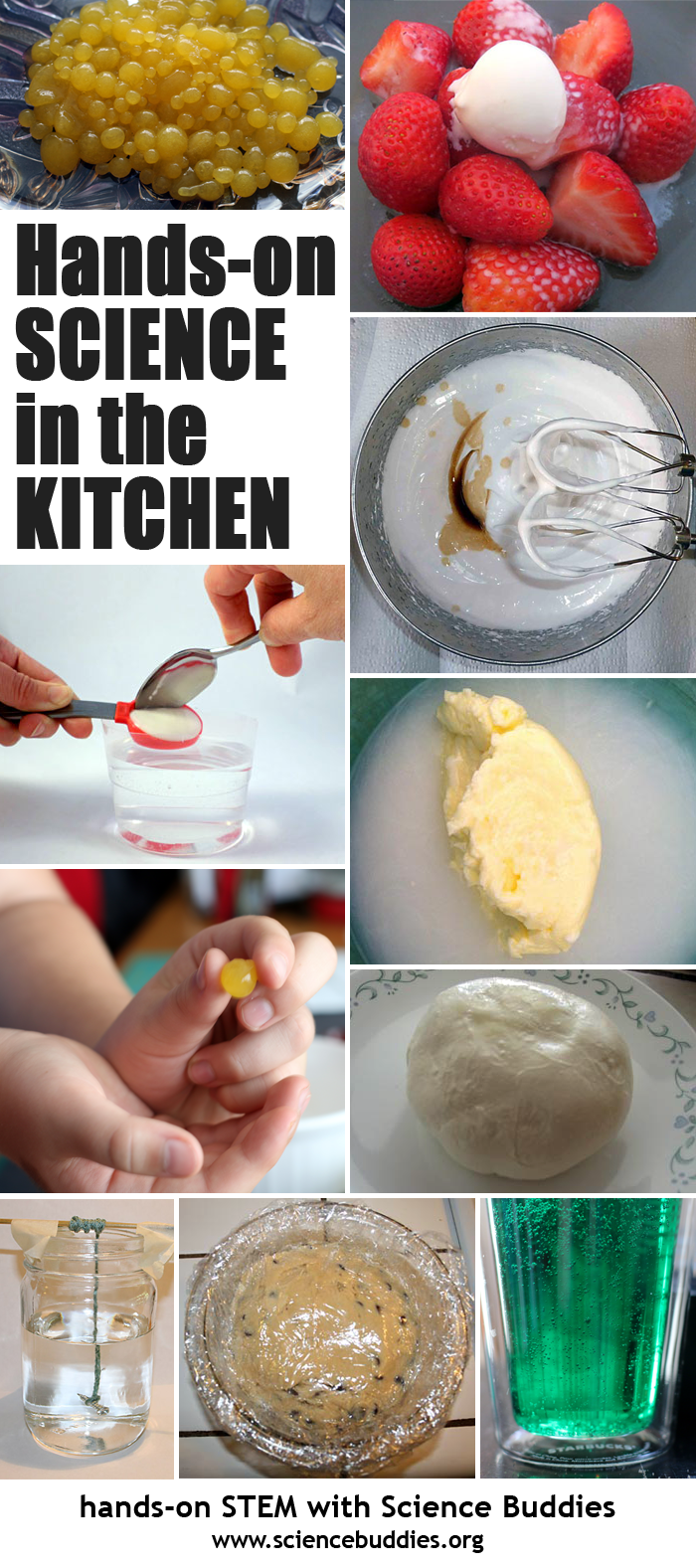 Photo collage of ten food based science projects