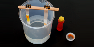 With the Candy Chromatography Kit from Science Buddies, students can unlock the colors that make up the coatings on favorite candies.