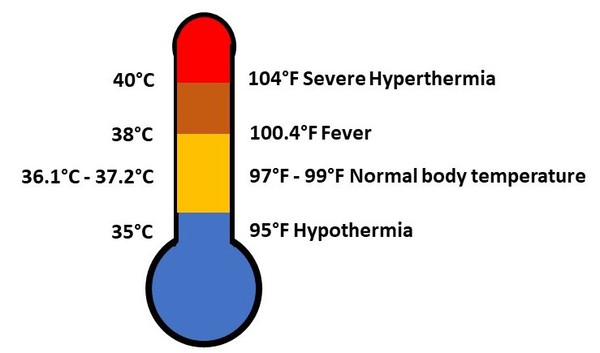 Thermometer icon showing that severe hypothermia occurs at 95Â°F, normal body temperature is between 97Â°F and 99Â°F, fevers start at 100.4Â°F, and sever hypothermia starts at 104Â°F 