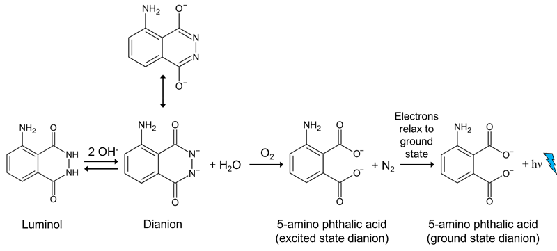 Chemical structures of luminol, dianion and 5-amino phthalic acid
