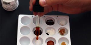 Solve a Mystery with Science