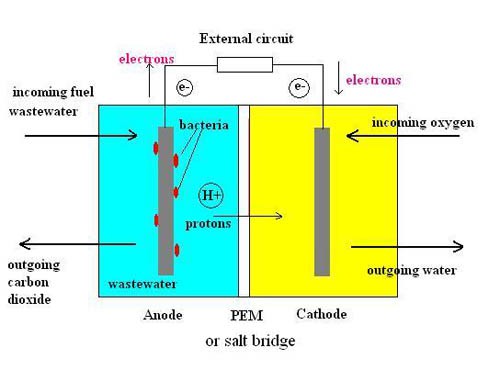 Diagram of a microbial fuel cell