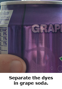 2014 Summer Science Guide: Grape Soda Chromatography