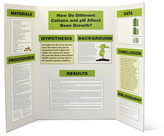 Glenmal 50 Sheets Science Fair Display Boards Project Printable