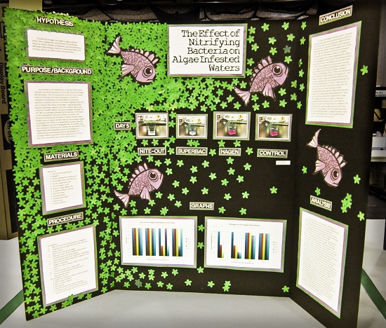 Glenmal 50 Sheets Science Fair Display Boards Project Printable