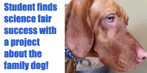 A Pet Science Project Success | Science Buddies Blog