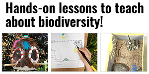 Teach About Biodiversity with Free STEM Lessons & Activities - Biodiversity Month