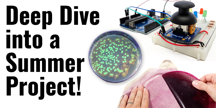 Deep Dive into STEM—Do a Summer Science Project!