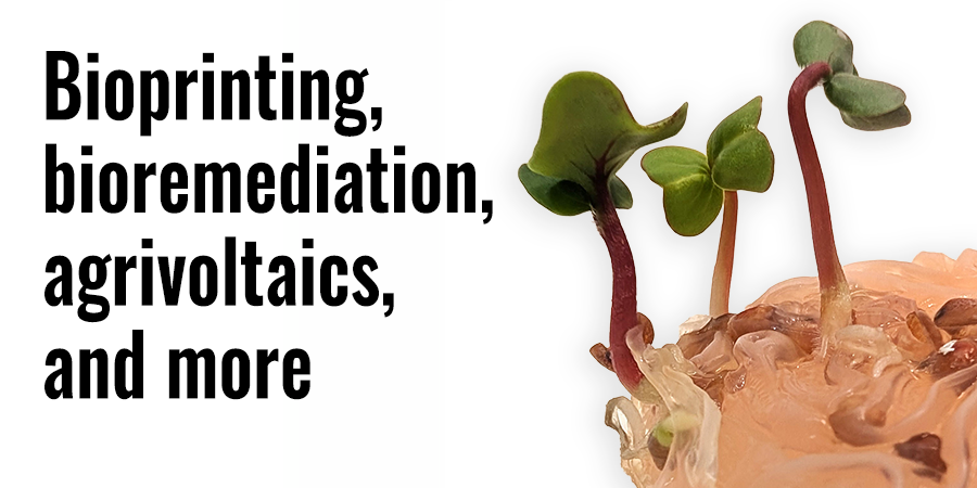 Bioprinting, Bioremediation, Agrivoltaics, and More Sustainability Projects
