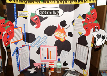 Science Fair Project Background Research Plan