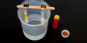 Candy Color Chromatography | Science Buddies Blog