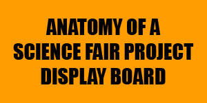 Putting Together a Science Fair Project Display Board | Science Buddies ...