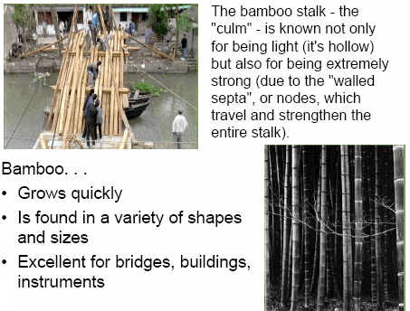A slide with a photo of a bamboo bridge and listed advantages of using bamboo
